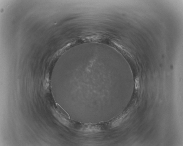 X0000087621011200705041619