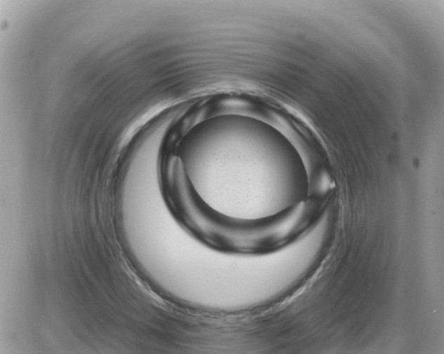 X0000087621018200705041619