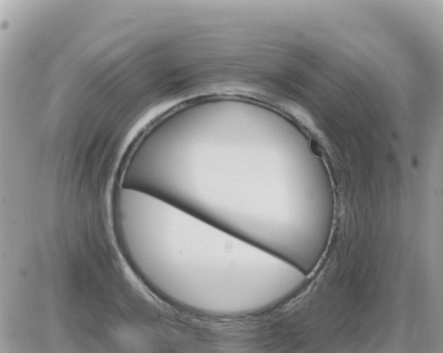 X0000087621032200705041619