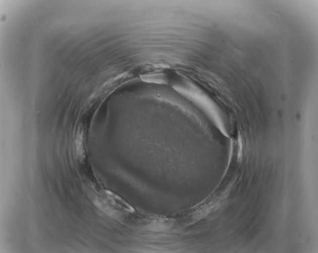 X0000087621060200705041619