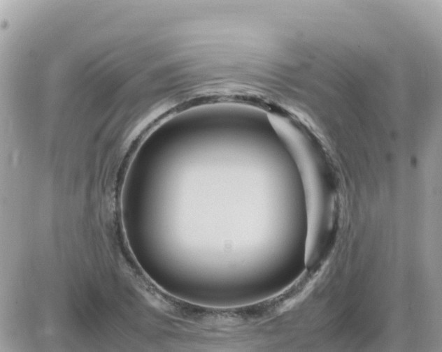 X0000087621073200705041618