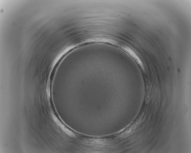 X0000087621084200705041618