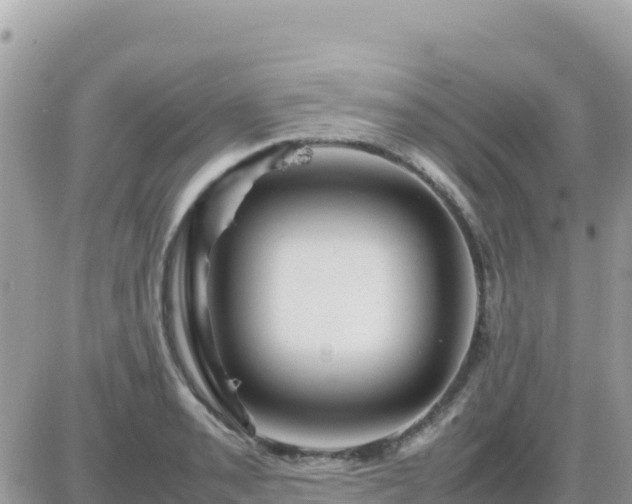 X0000087621085200705041618