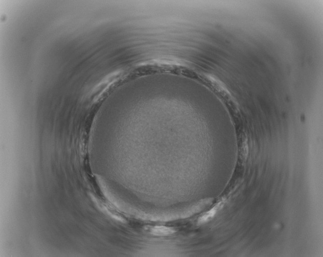 X0000087621110200705041617