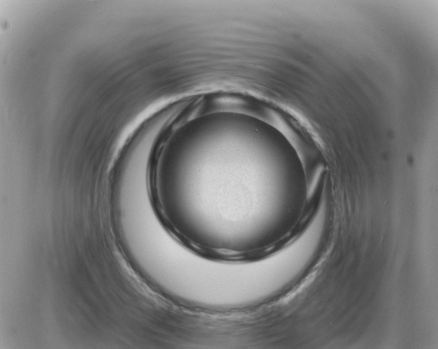 X0000087621118200705041617