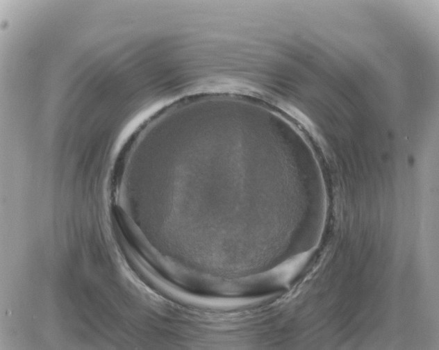 X0000087621120200705041617
