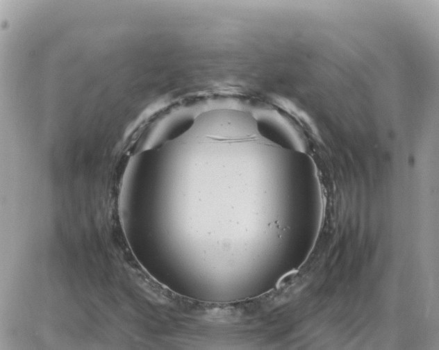 X0000087621160200705041617