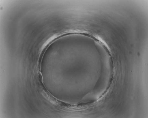 X0000087621173200705041617