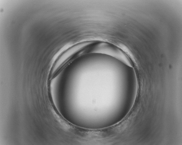 X0000087621181200705041617