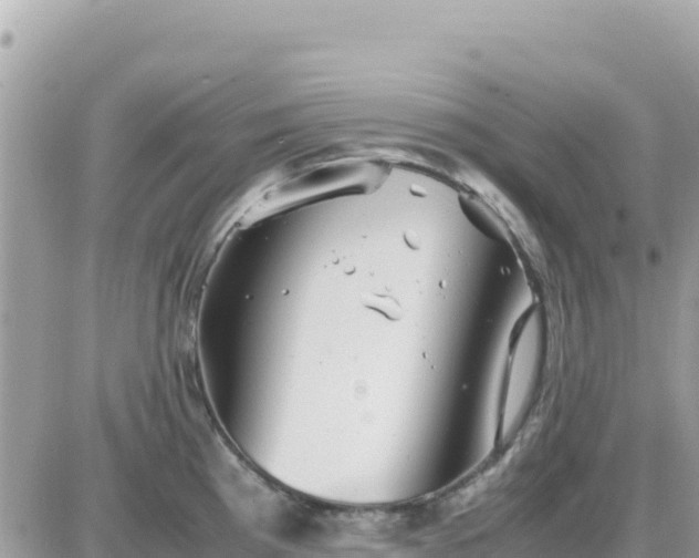 X0000087621193200705041616