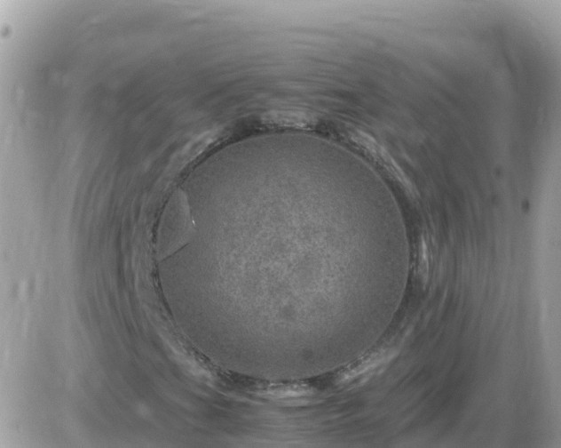 X0000087621201200705041615