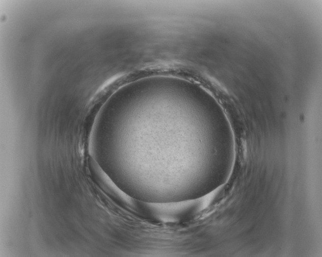 X0000087621206200705041616