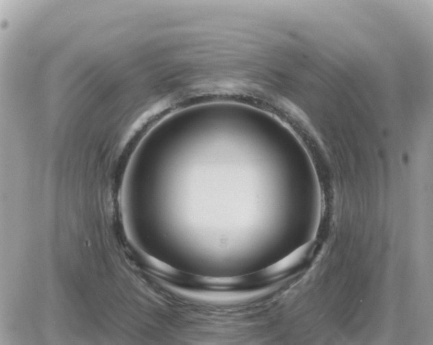 X0000087621218200705041616