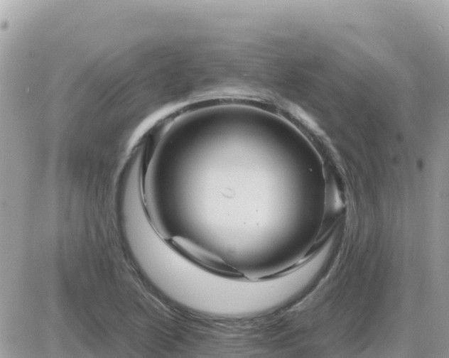 X0000087621222200705041616