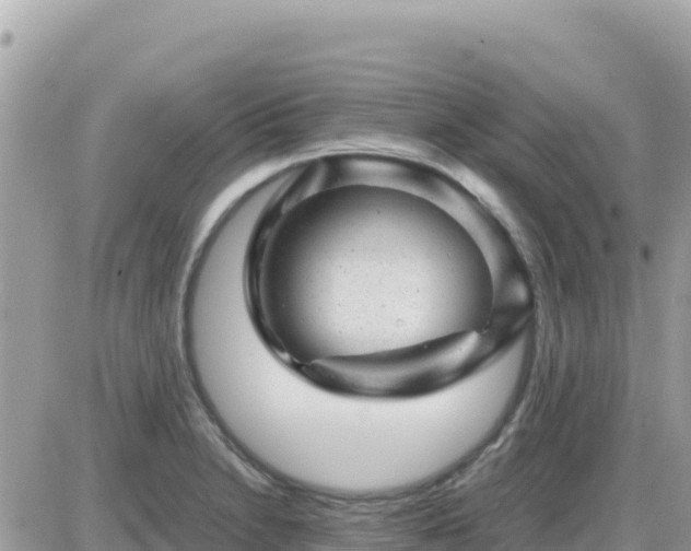 X0000087621230200705041616