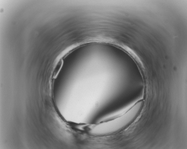 X0000087621238200705041616