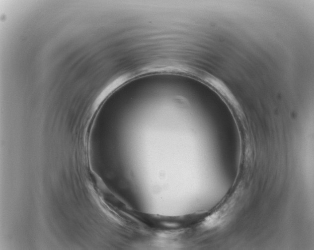 X0000087621242200705041616
