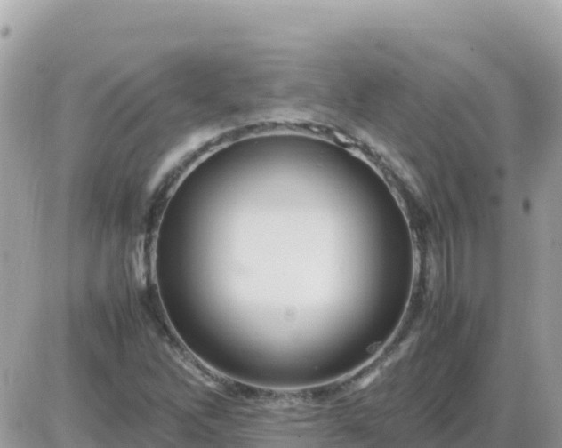 X0000087621262200705041615