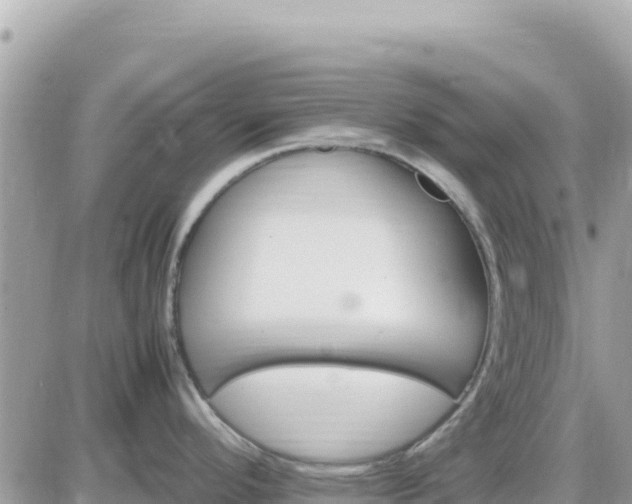 X0000087621296200705041615