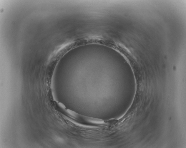 X0000087621303200705041614