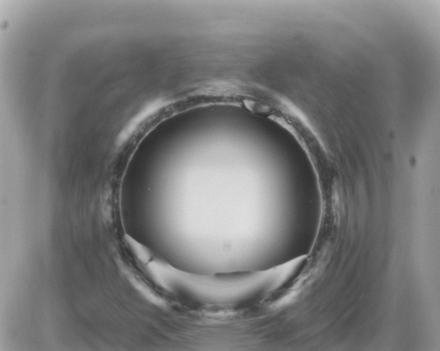 X0000087621304200705041614