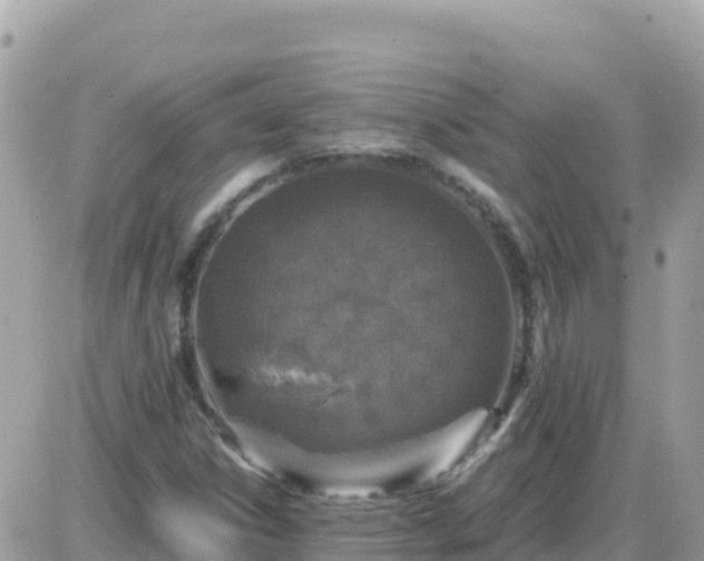 X0000087621306200705041614