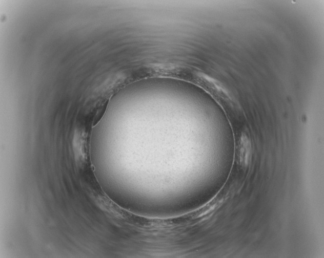 X0000087621346200705041614