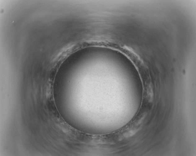 X0000087621350200705041614