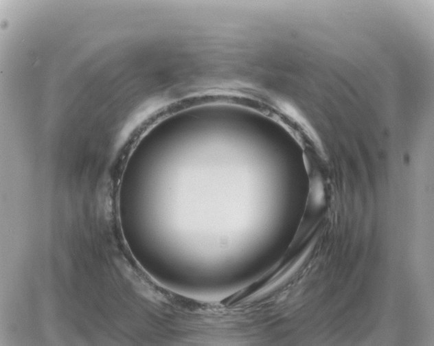 X0000087621360200705041614