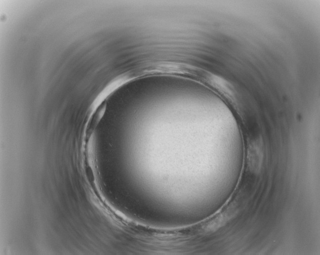 X0000087621378200705041613