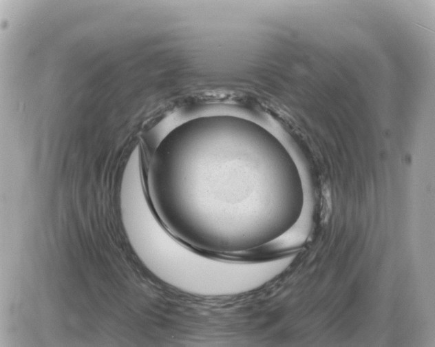 X0000087621394200705041612