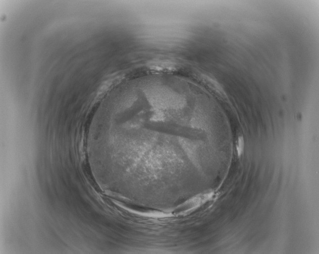 X0000087621396200705041612