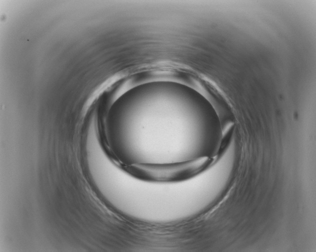 X0000087621410200705041613