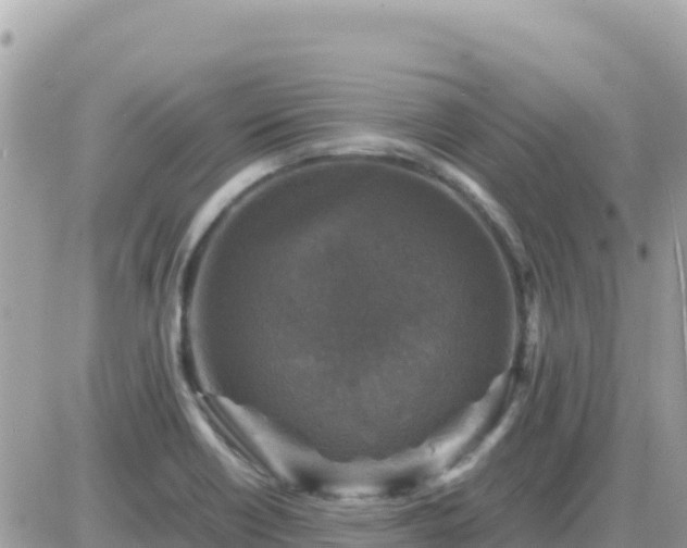 X0000087621418200705041613