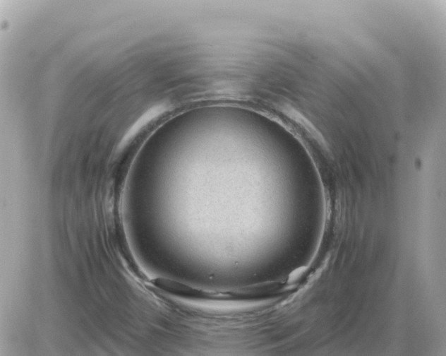 X0000087621450200705041612