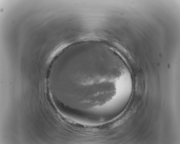 X0000087621453200705041612
