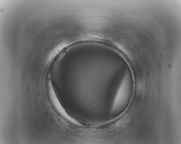 X0000087621455200705041612