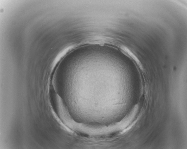 X0000087621477200705041612
