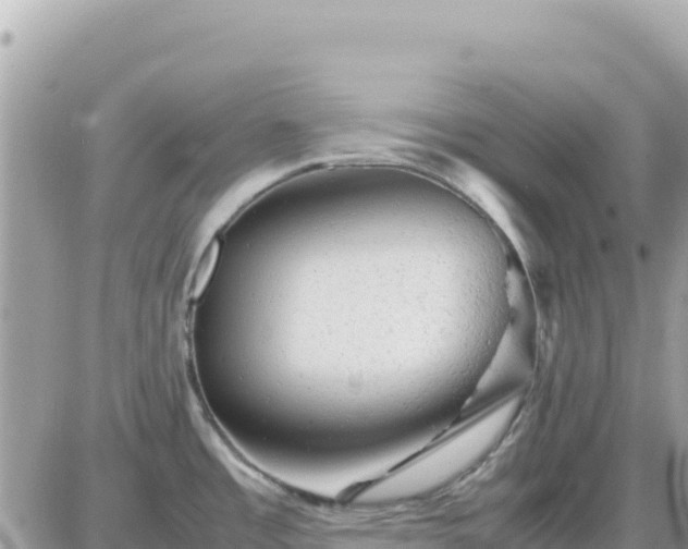 X0000087621485200705041612
