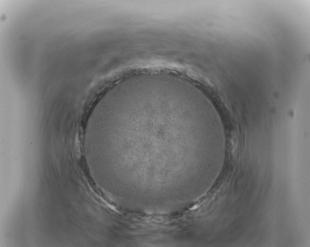 X0000087621493200705041611