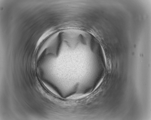 X0000087620004200705120030