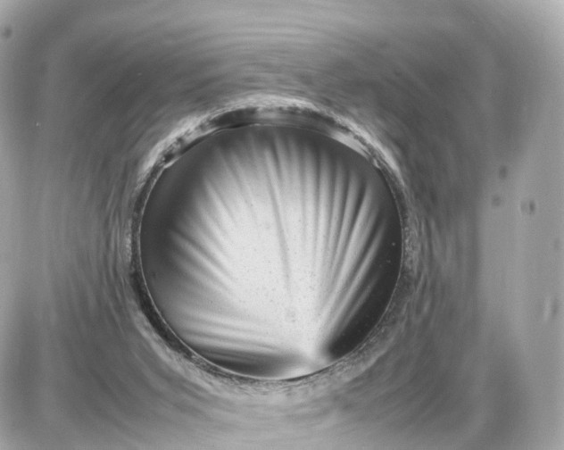 X0000087620015200705120030