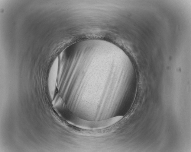 X0000087620017200705120030
