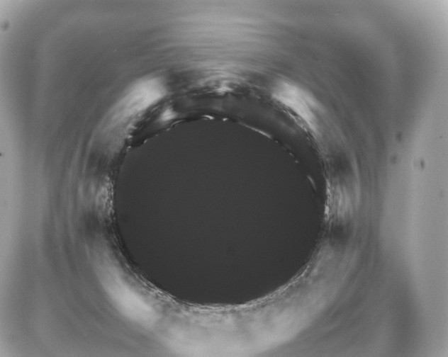 X0000087620029200705120029