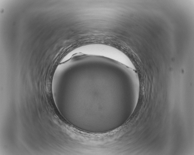 X0000087620035200705120029