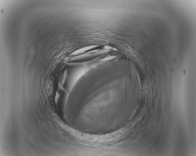 X0000087620043200705120029