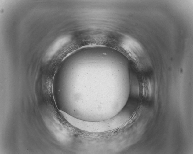 X0000087620045200705120029