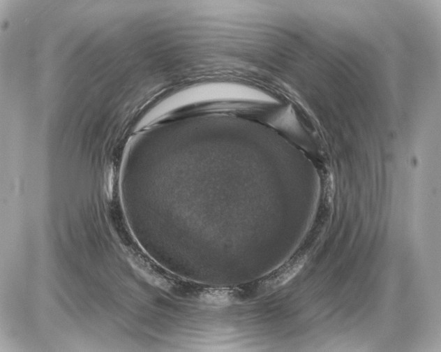 X0000087620076200705120029