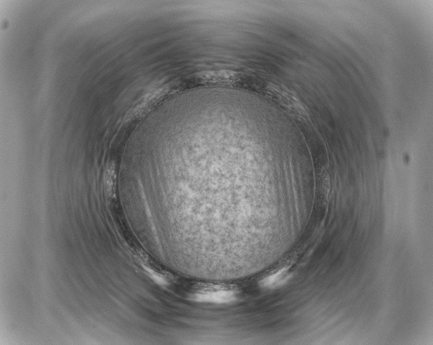 X0000087620083200705120029