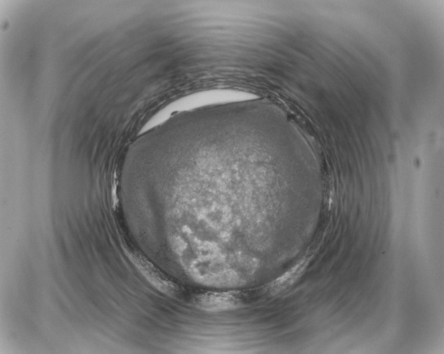 X0000087620086200705120029